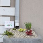 Betonowa donica ogrodu deszczowego ustawiona pod rurą spustową przy ścianie biblioteki. Donicę wypełniają kamienie i różne gatunki roślin, a obok znajduje się tabliczka programu „Tu mieszkam, tu zmieniam EKO”.
