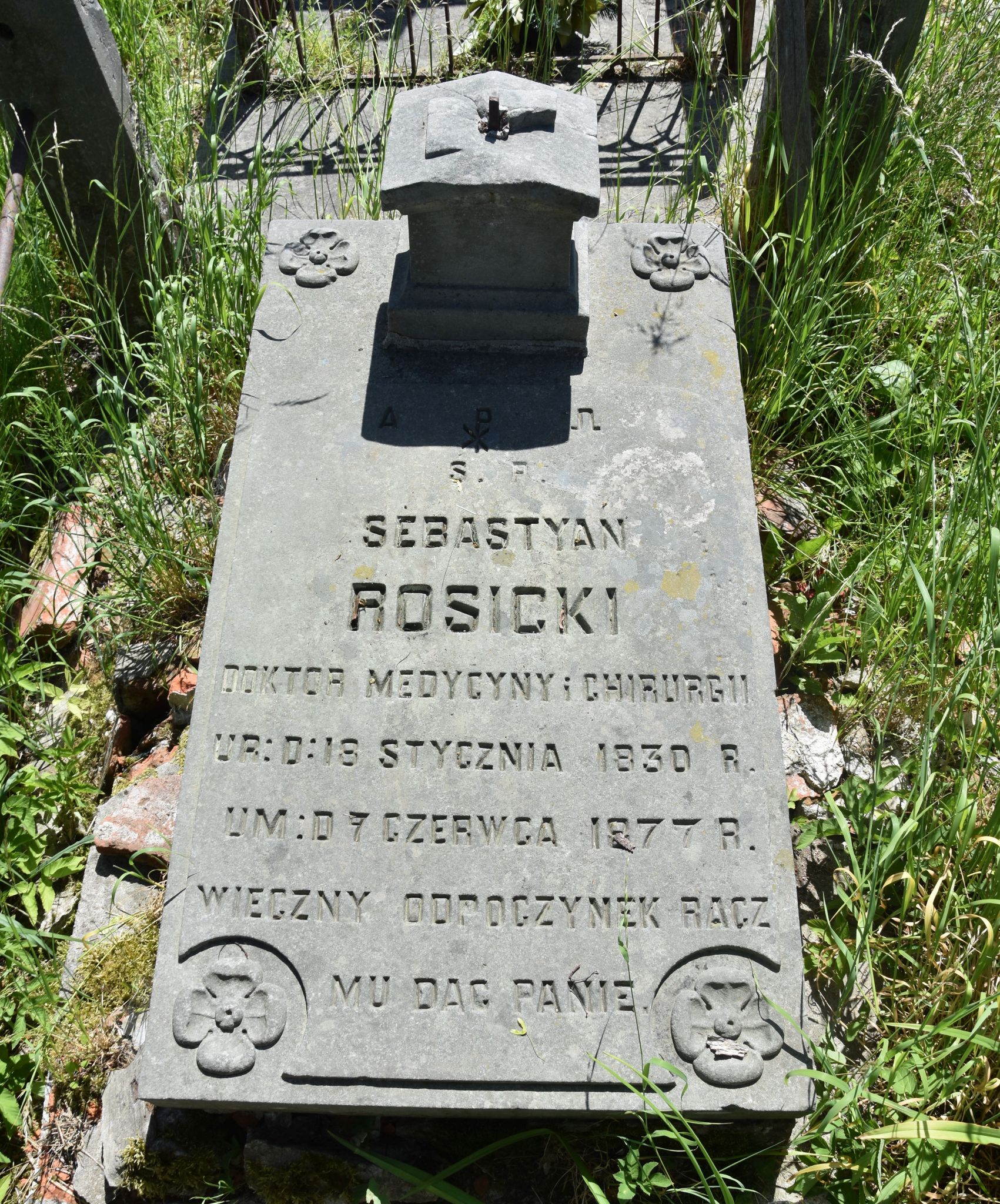 fot.19